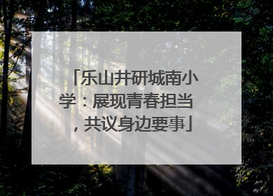 乐山井研城南小学：展现青春担当，共议身边要事