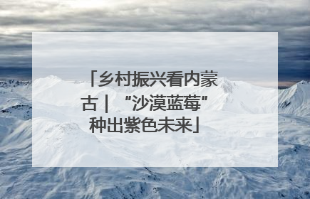 乡村振兴看内蒙古｜“沙漠蓝莓”种出紫色未来