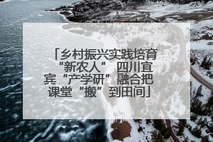 乡村振兴实践培育“新农人” 四川宜宾“产学研”融合把课堂“搬”到田间