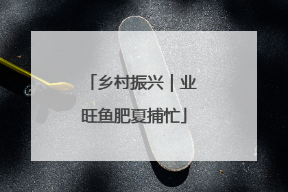 乡村振兴｜业旺鱼肥夏捕忙