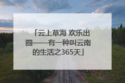 云上草海 欢乐出圈——有一种叫云南的生活之365天