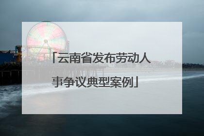云南省发布劳动人事争议典型案例