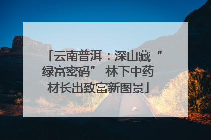 云南普洱：深山藏“绿富密码” 林下中药材长出致富新图景