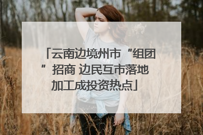 云南边境州市“组团”招商 边民互市落地加工成投资热点