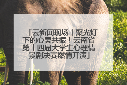 云新闻现场丨聚光灯下的心灵共振！云南省第十四届大学生心理情景剧决赛燃情开演