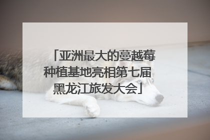 亚洲最大的蔓越莓种植基地亮相第七届黑龙江旅发大会
