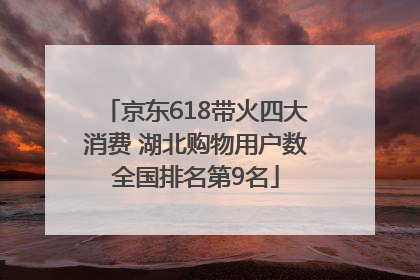 京东618带火四大消费 湖北购物用户数全国排名第9名