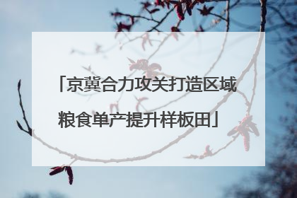 京冀合力攻关打造区域粮食单产提升样板田