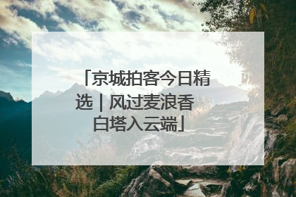 京城拍客今日精选｜风过麦浪香 白塔入云端
