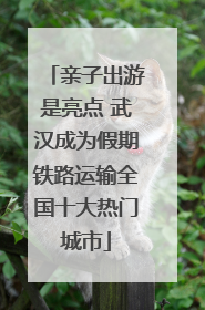 亲子出游是亮点 武汉成为假期铁路运输全国十大热门城市