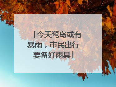 今天鹭岛或有暴雨，市民出行要备好雨具