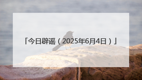 今日辟谣（2025年6月4日）