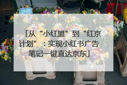 从“小红盟”到“红京计划”：实现小红书广告笔记一键直达京东