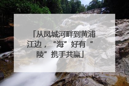 从凤城河畔到黄浦江边，“海”好有“陵”携手共赢