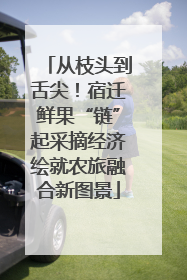 从枝头到舌尖！宿迁鲜果“链”起采摘经济绘就农旅融合新图景