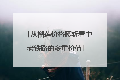 从榴莲价格腰斩看中老铁路的多重价值
