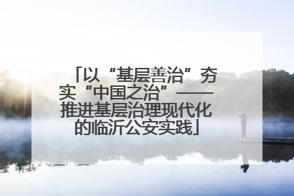 以“基层善治”夯实“中国之治”——推进基层治理现代化的临沂公安实践