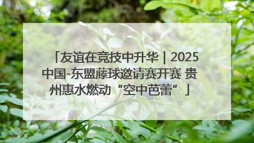 友谊在竞技中升华｜2025中国-东盟藤球邀请赛开赛 贵州惠水燃动“空中芭蕾”