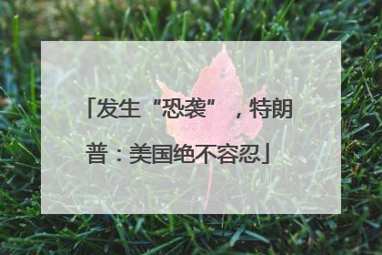 发生“恐袭”，特朗普：美国绝不容忍