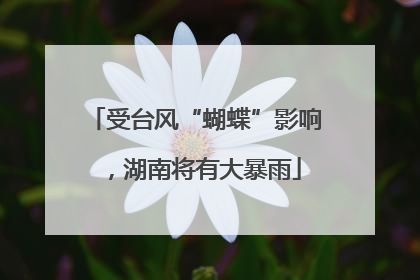 受台风“蝴蝶”影响，湖南将有大暴雨