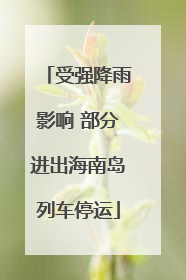 受强降雨影响 部分进出海南岛列车停运