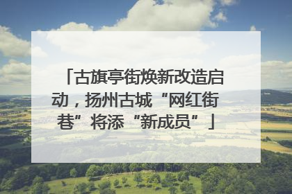 古旗亭街焕新改造启动，扬州古城“网红街巷”将添“新成员”