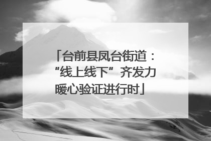台前县凤台街道：“线上线下”齐发力 暖心验证进行时