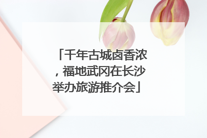 千年古城卤香浓，福地武冈在长沙举办旅游推介会