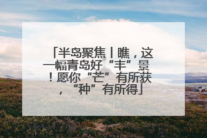 半岛聚焦丨瞧，这一幅青岛好“丰”景！愿你“芒”有所获，“种”有所得