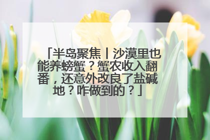 半岛聚焦丨沙漠里也能养螃蟹？蟹农收入翻番，还意外改良了盐碱地？咋做到的？