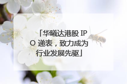 华曦达港股 IPO 递表，致力成为行业发展先驱