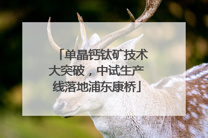 单晶钙钛矿技术大突破，中试生产线落地浦东康桥