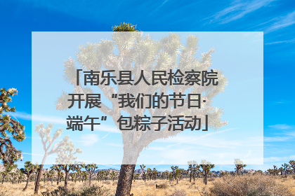 南乐县人民检察院开展“我们的节日·端午”包粽子活动