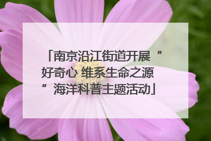 南京沿江街道开展“好奇心 维系生命之源”海洋科普主题活动