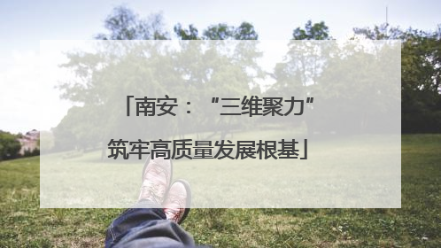 南安：“三维聚力”筑牢高质量发展根基