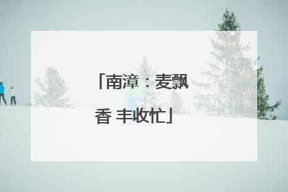 南漳：麦飘香 丰收忙