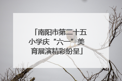 南阳市第二十五小学庆“六一”美育展演精彩纷呈