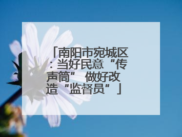 南阳市宛城区：当好民意“传声筒” 做好改造“监督员”