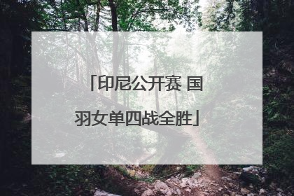 印尼公开赛 国羽女单四战全胜