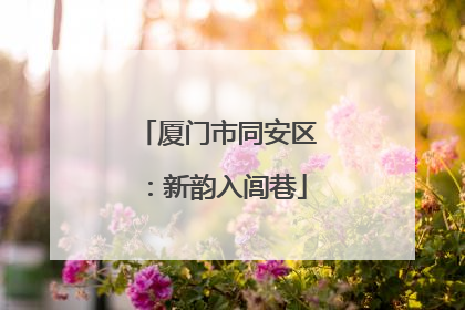 厦门市同安区：新韵入闾巷