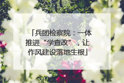 兵团检察院：一体推进“学查改”，让作风建设落地生根