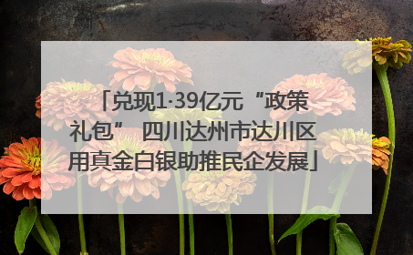 兑现1·39亿元“政策礼包” 四川达州市达川区用真金白银助推民企发展