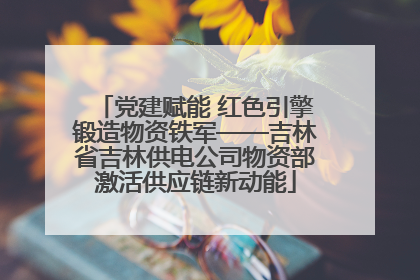 党建赋能 红色引擎锻造物资铁军——吉林省吉林供电公司物资部激活供应链新动能