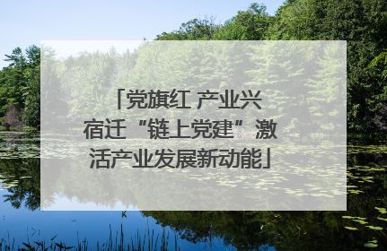 党旗红 产业兴 宿迁“链上党建”激活产业发展新动能
