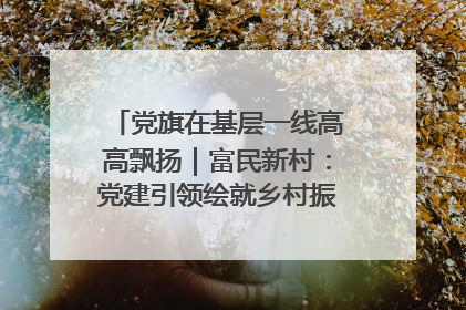 党旗在基层一线高高飘扬｜富民新村：党建引领绘就乡村振兴美丽画卷