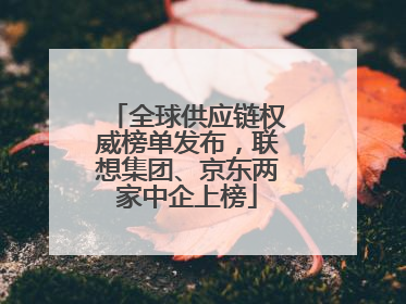 全球供应链权威榜单发布，联想集团、京东两家中企上榜
