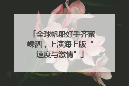 全球帆船好手齐聚嵊泗，上演海上版“速度与激情”