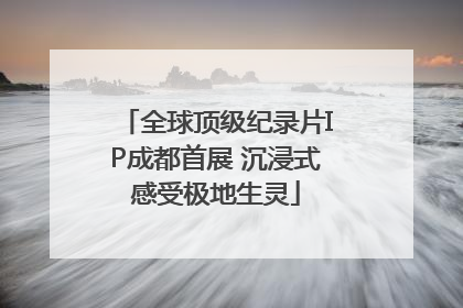 全球顶级纪录片IP成都首展 沉浸式感受极地生灵