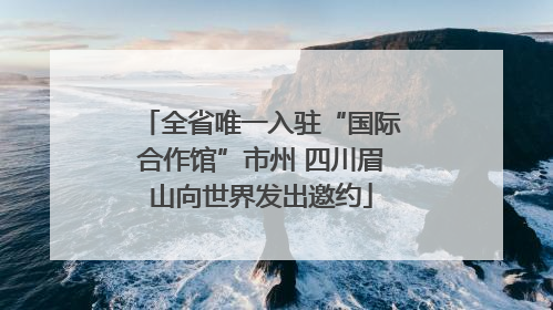 全省唯一入驻“国际合作馆”市州 四川眉山向世界发出邀约