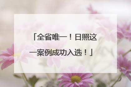 全省唯一！日照这一案例成功入选！
